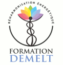 logo-formation-demelt-site.png